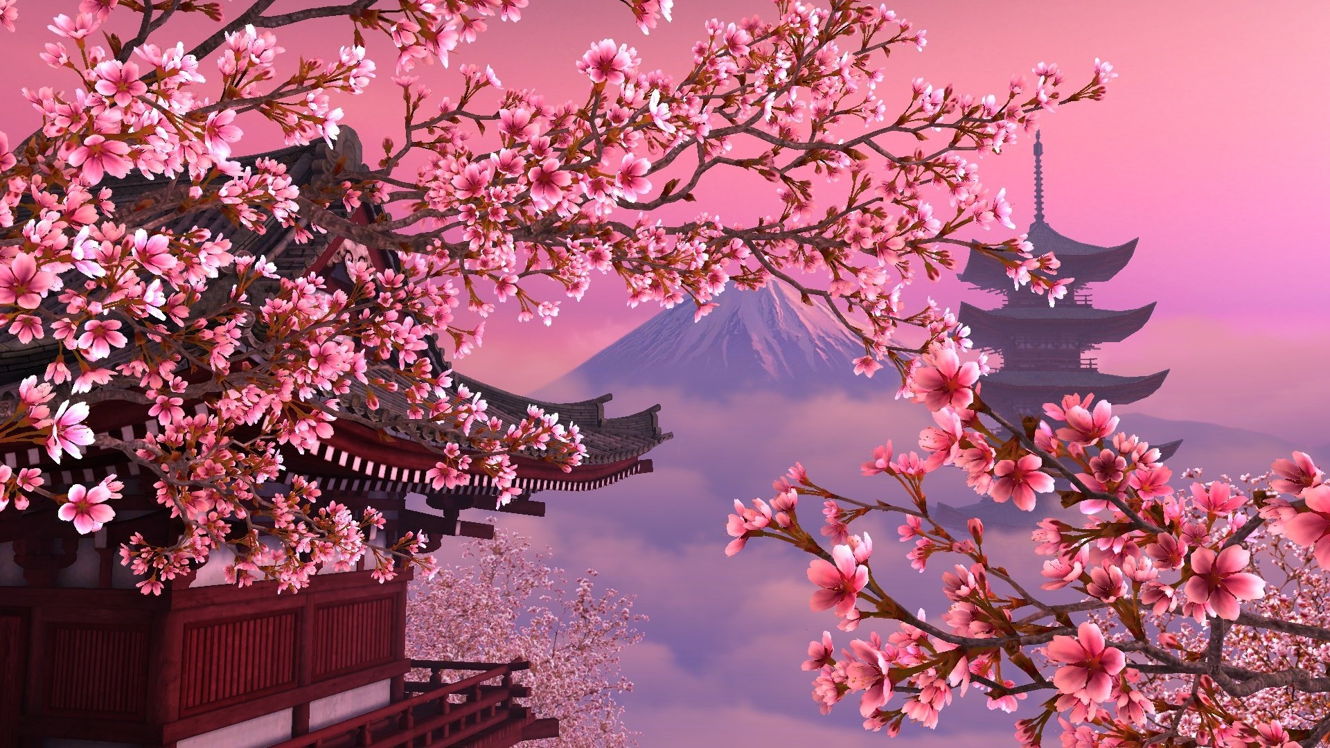 sakura rosa hermoso japón