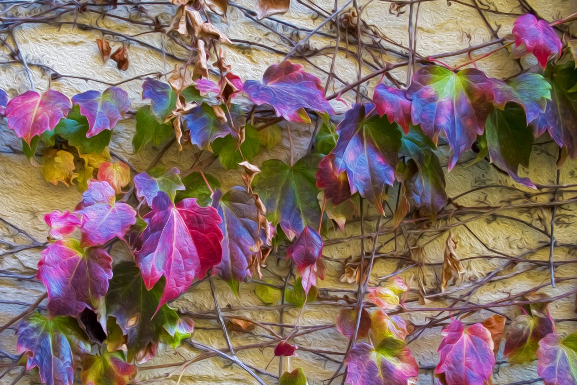 blätter efeu wand farbe herbst stiel