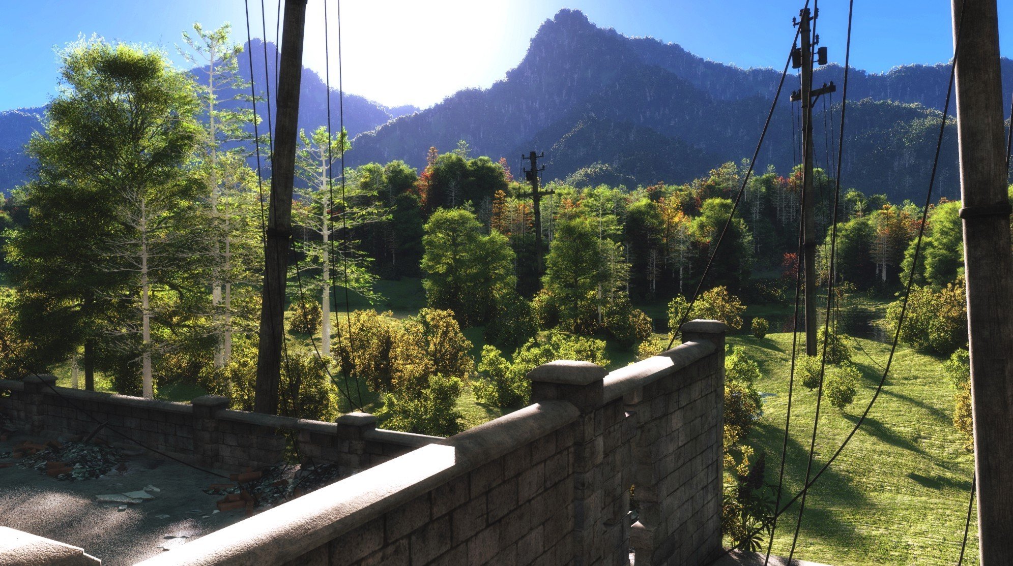 kunst landschaft stromleitung drähte dach bäume wald berge hügel