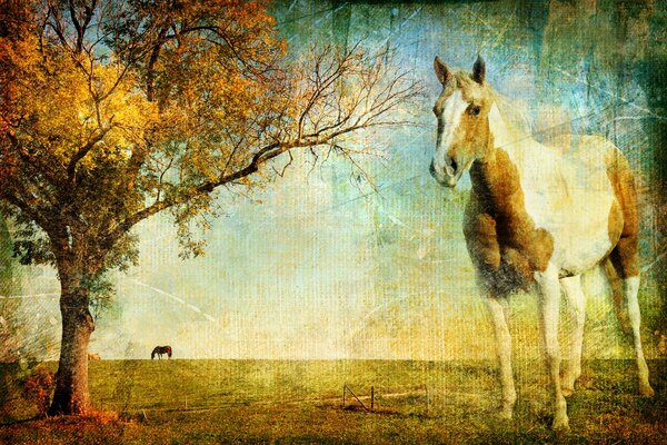 Collage con cavallo e albero in autunno