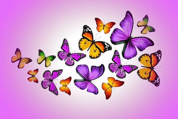 Bunte Schmetterlinge, Marika-Design, Schmetterlinge auf orangefarbenem Hintergrund