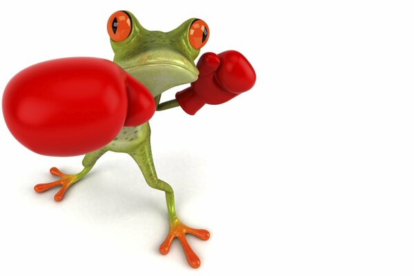 Grenouille verte dans des gants de boxe rouges