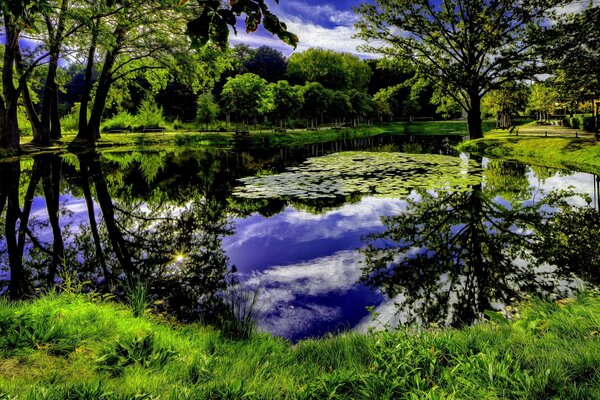 El agua en el estanque parece un poco púrpura