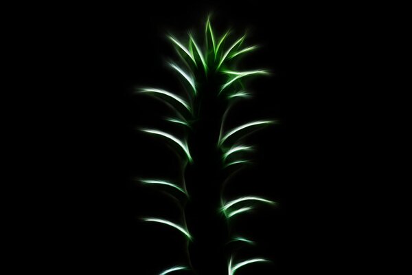 Néon de l ananas. Lumineuse branche