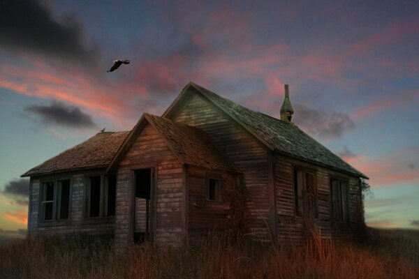 Ein verlassenes Haus, von dem nur noch Ruinen übrig sind