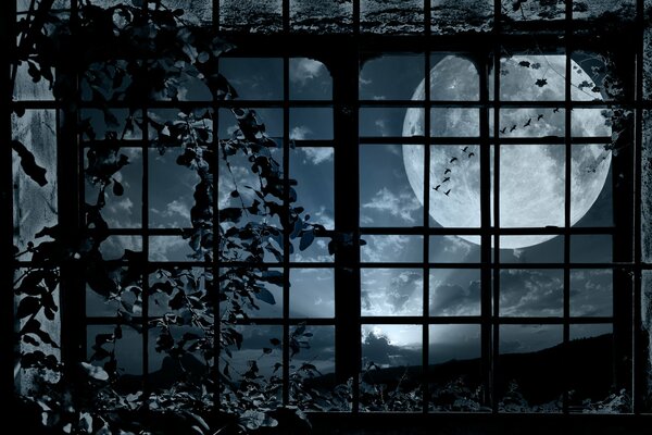 L emprisonnement dans le clair de lune sombre de la nuit