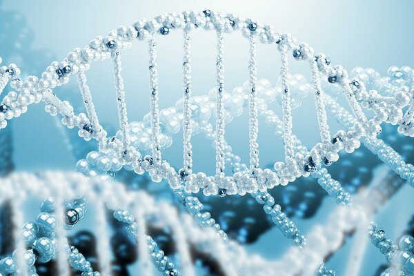 Modello di DNA in formato ZD