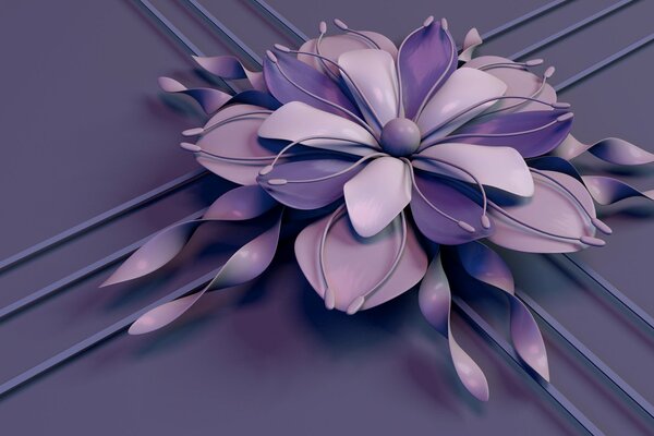 Purple flower with voluminous petals