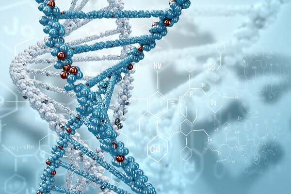 La formule de l ADN en forme de spirale