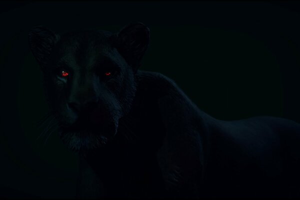 Black panther with red eyes