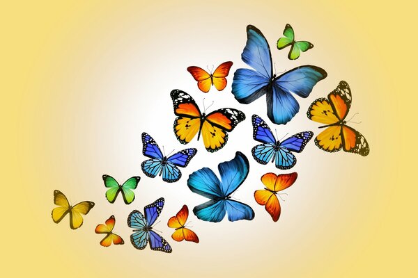 Conception de Marika, papillons, beaucoup de papillons, papillons sur fond orange