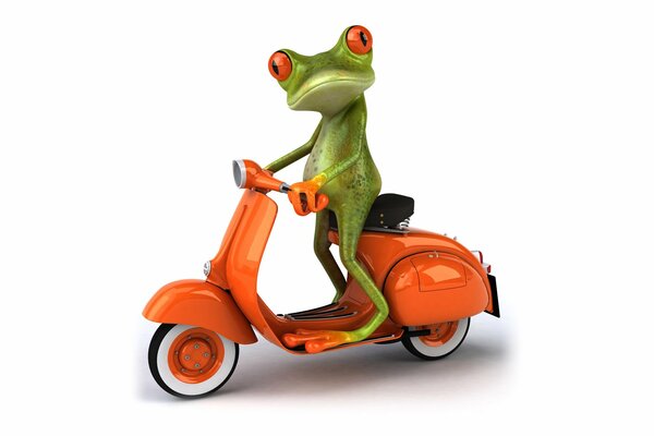 Drawing graphics frog on a moped