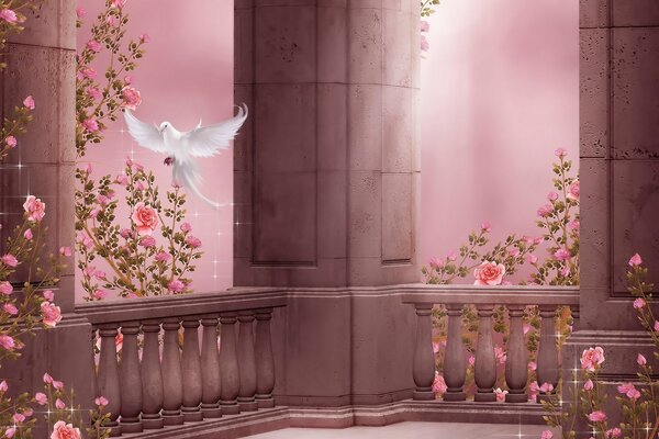 Gołębie na tle kolumny w ogrodzie różanym