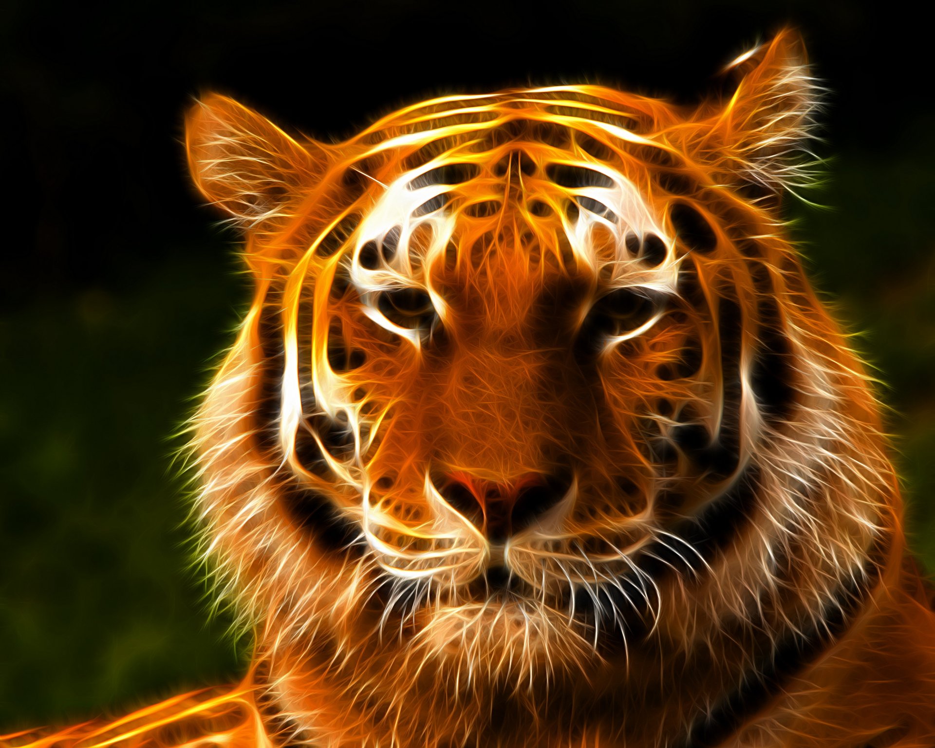 tiger face view 3d graphic