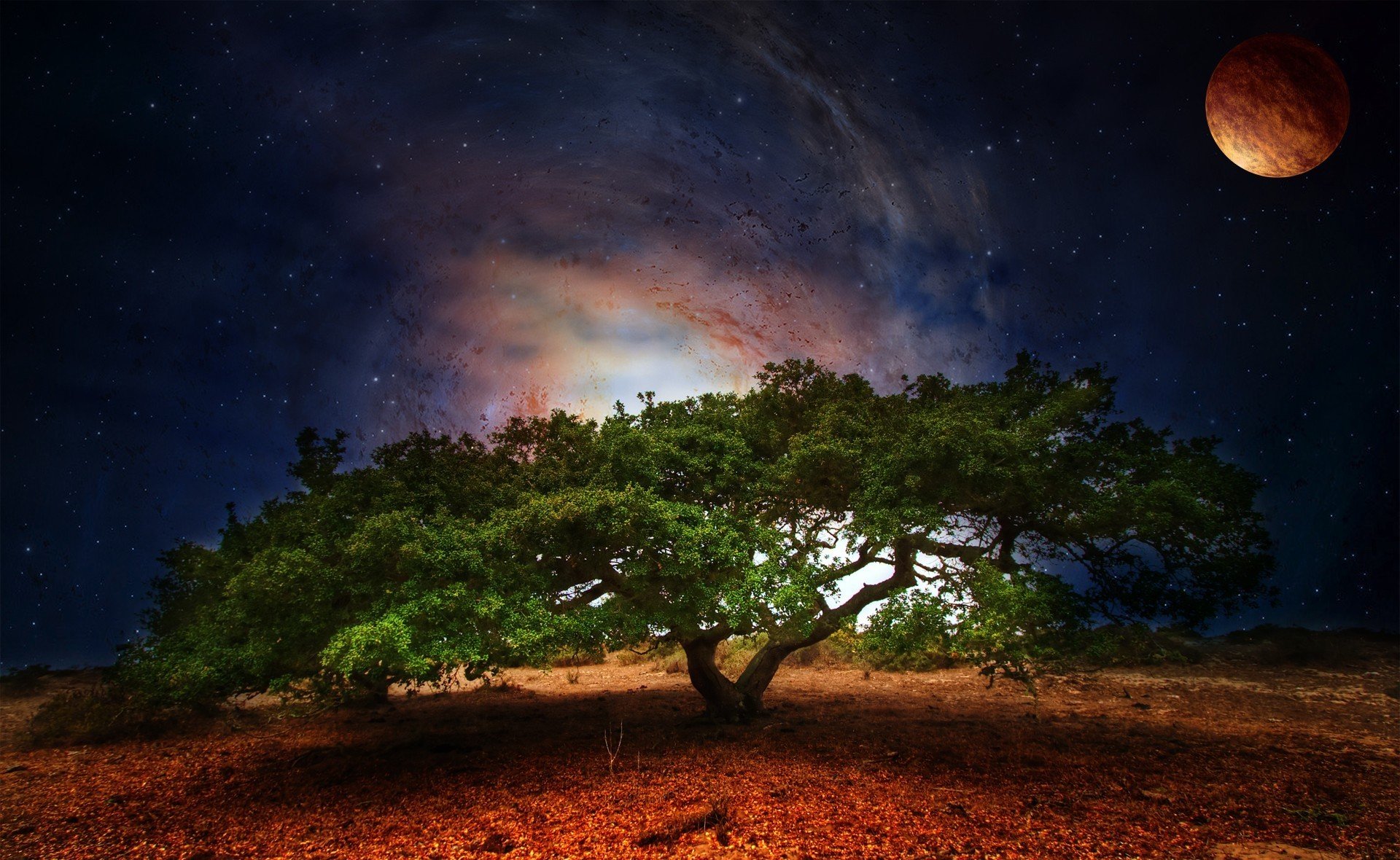 nature tree green foliage space planet star night