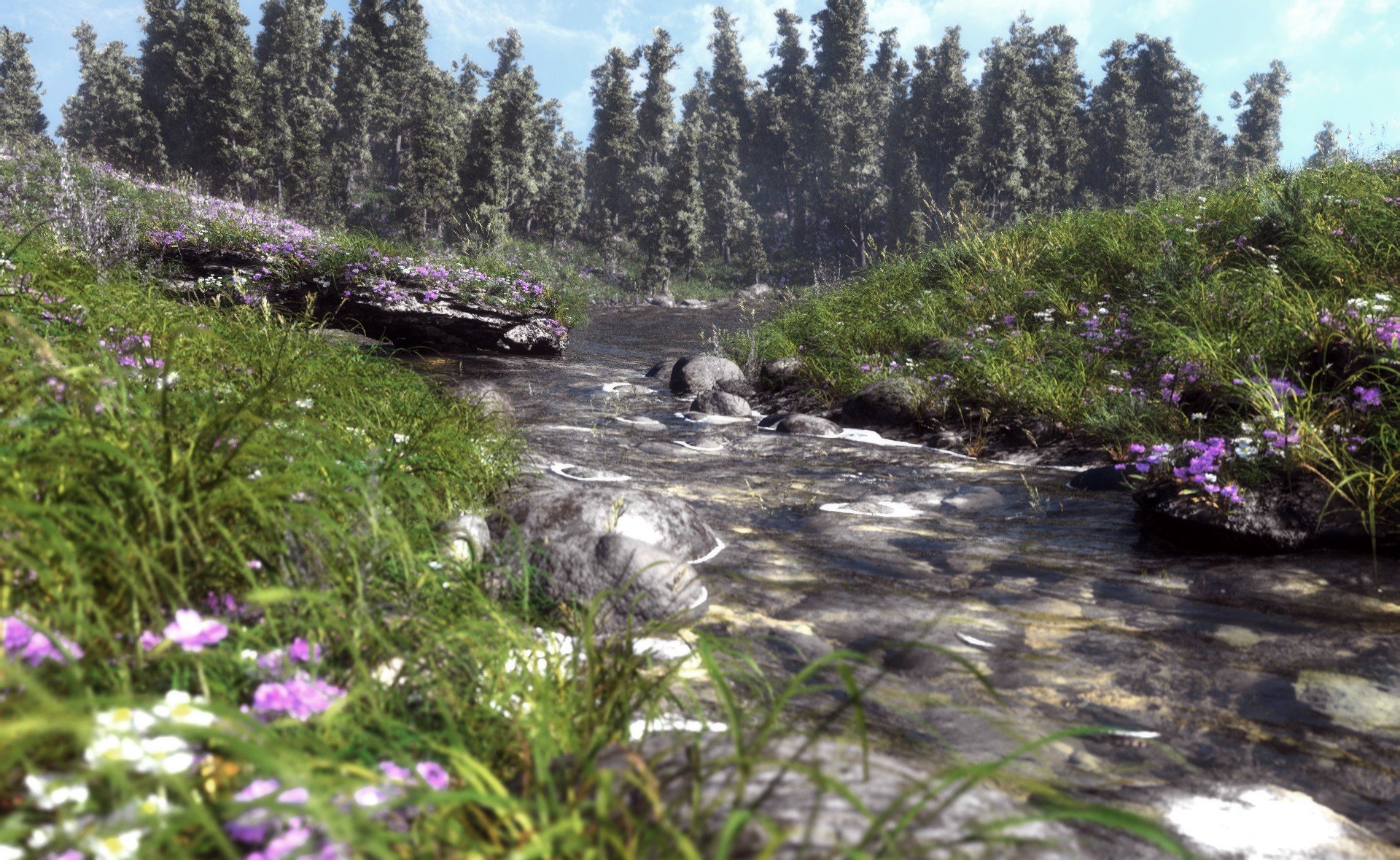 arte naturaleza río río hierba piedras flores campo árboles abeto coníferas