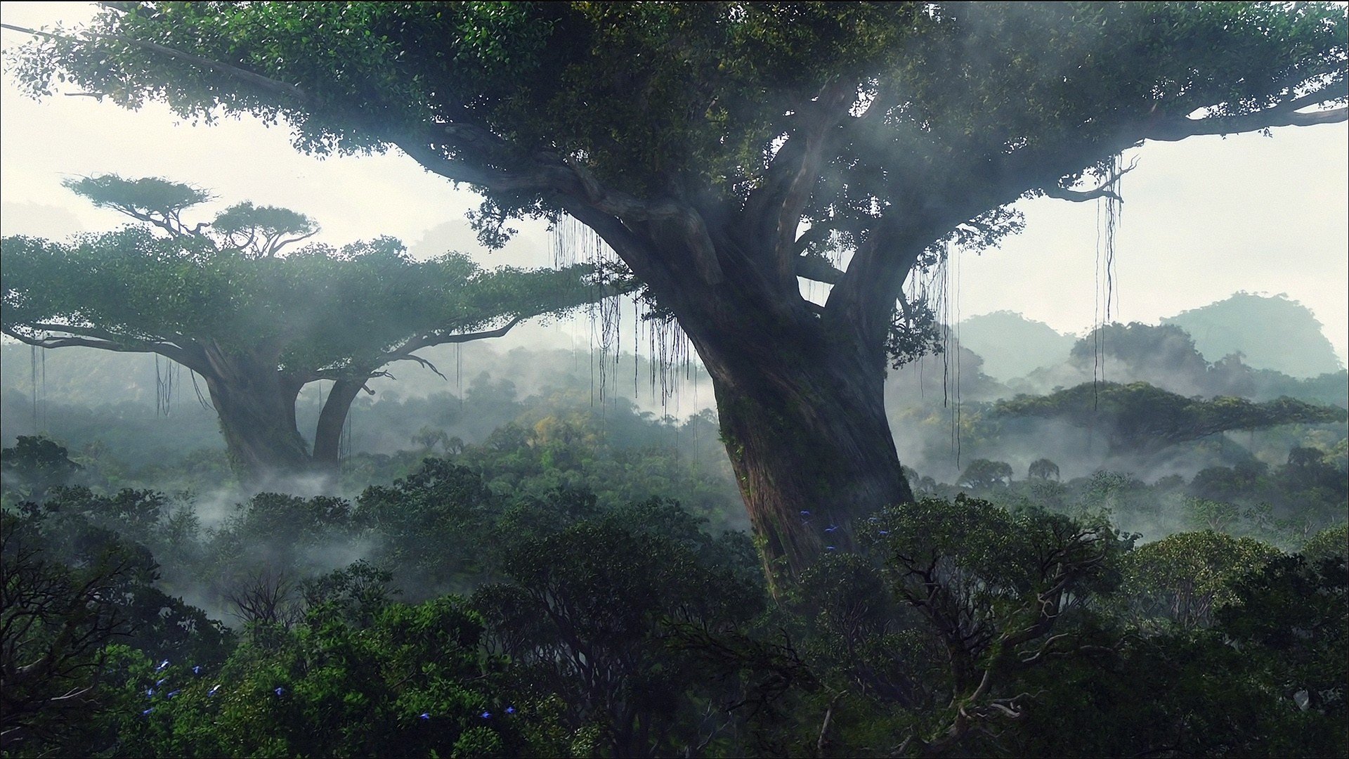 alberi paesaggio giungla foresta