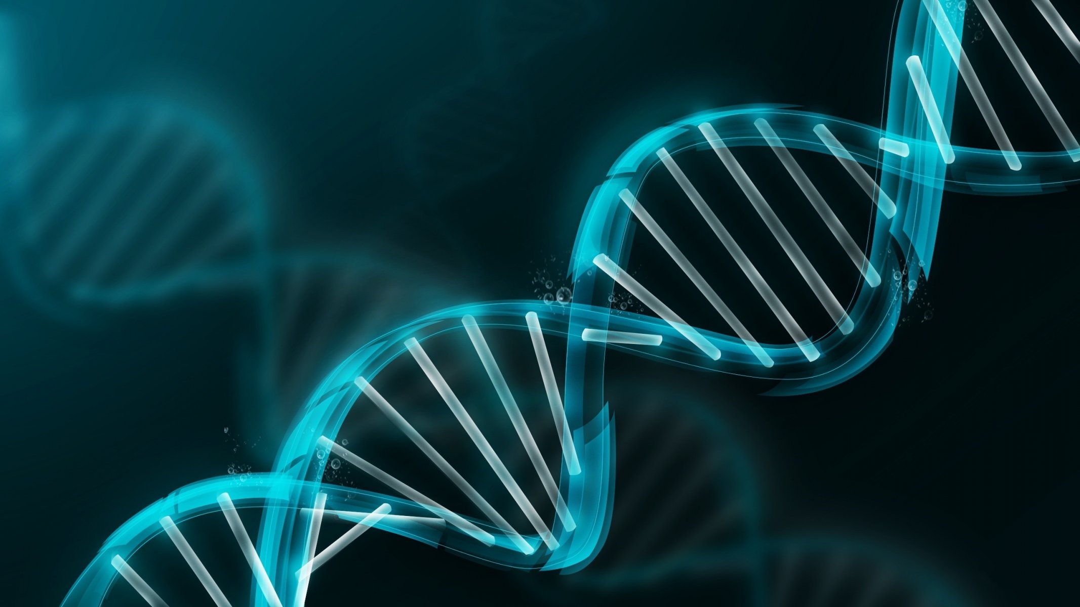 dna molecule model blue