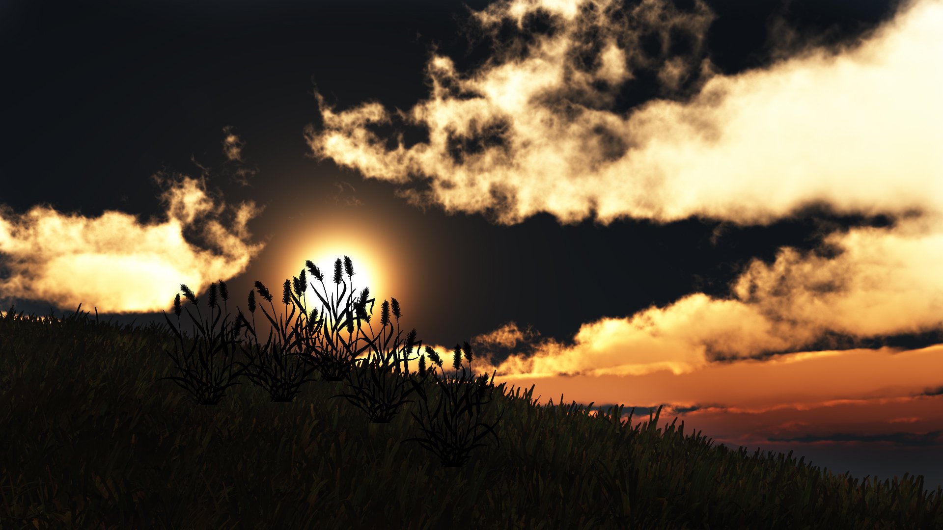 sztuka natura zachód słońca wzgórze trawa sylwetki słońce chmury