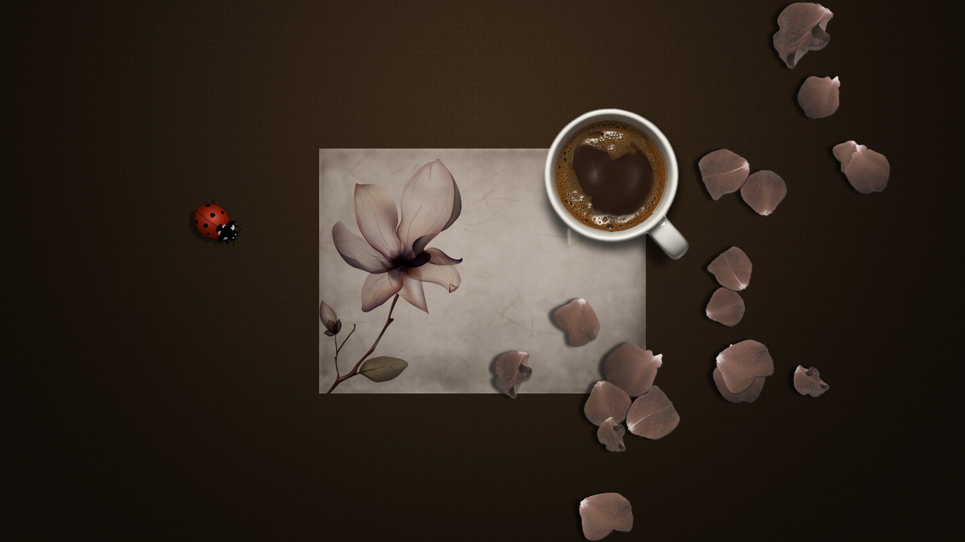 hintergrund kaffee becher marienkäfer insekt papier blume blütenblätter