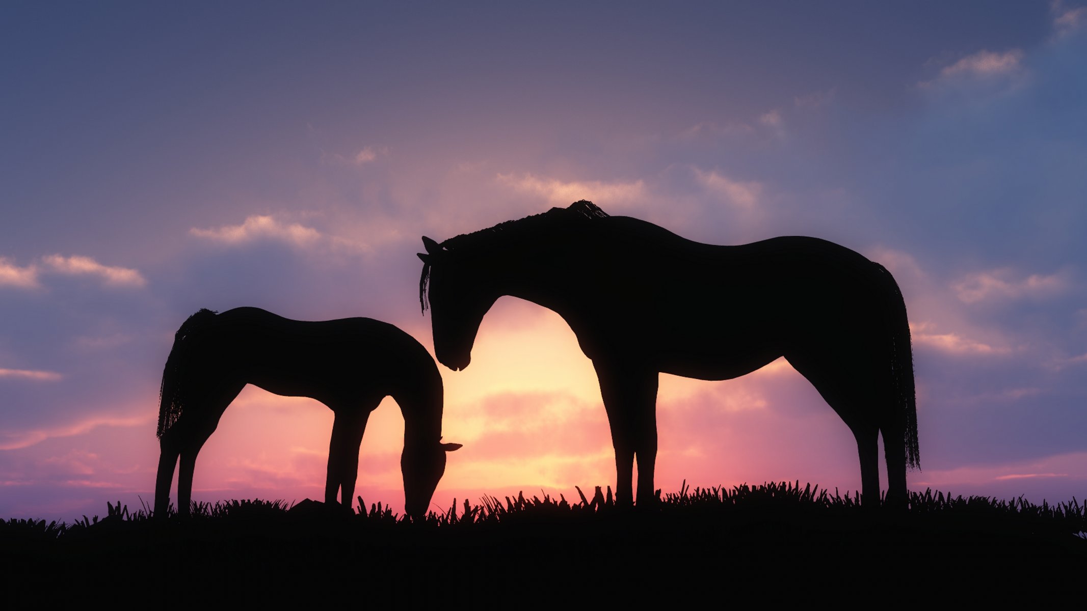 arte caballos puesta de sol siluetas hierba nubes