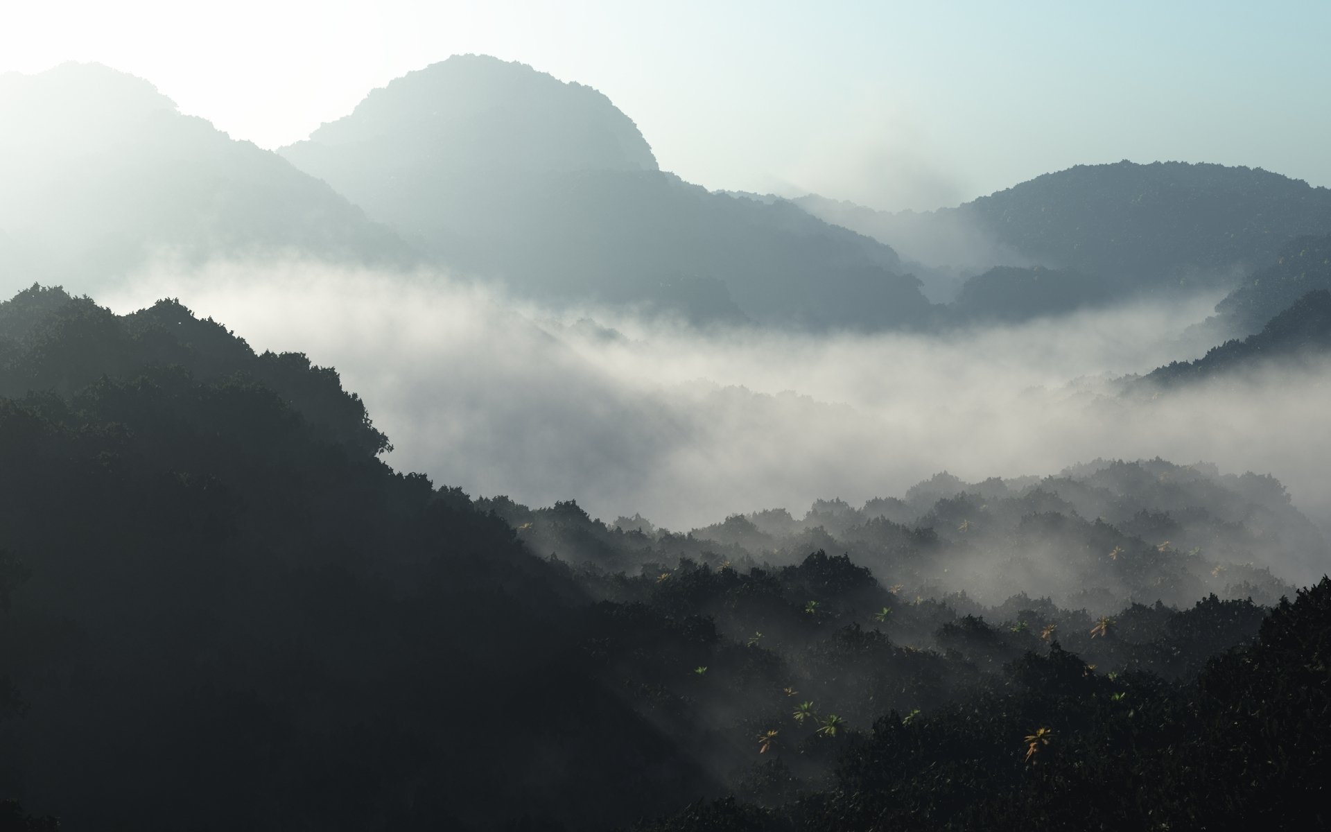 art hills fog forest morning dawn