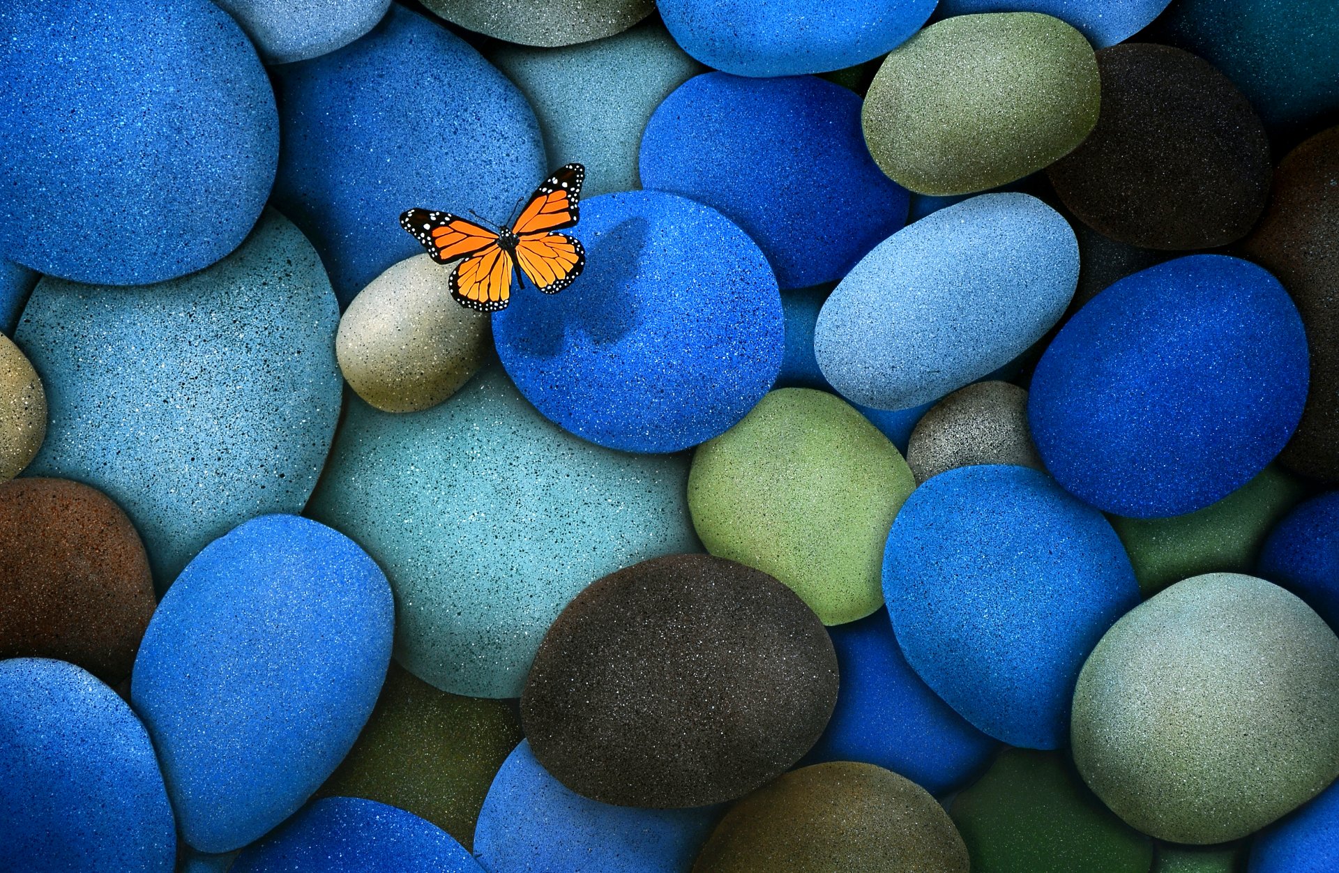 steine blau braun schmetterling