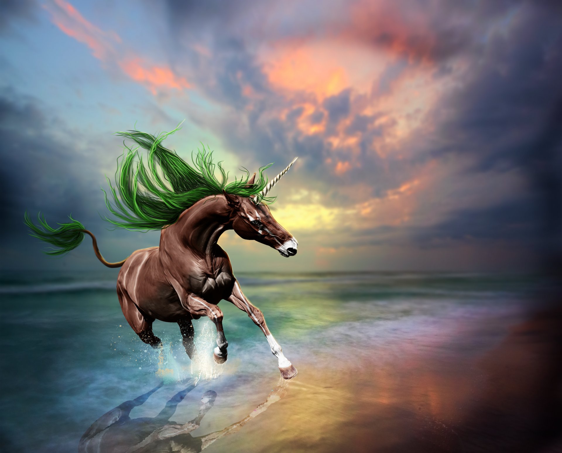 l animal un cheval une licorne promenades la mer les vagues la réflexion ciel coucher de soleil 3d art