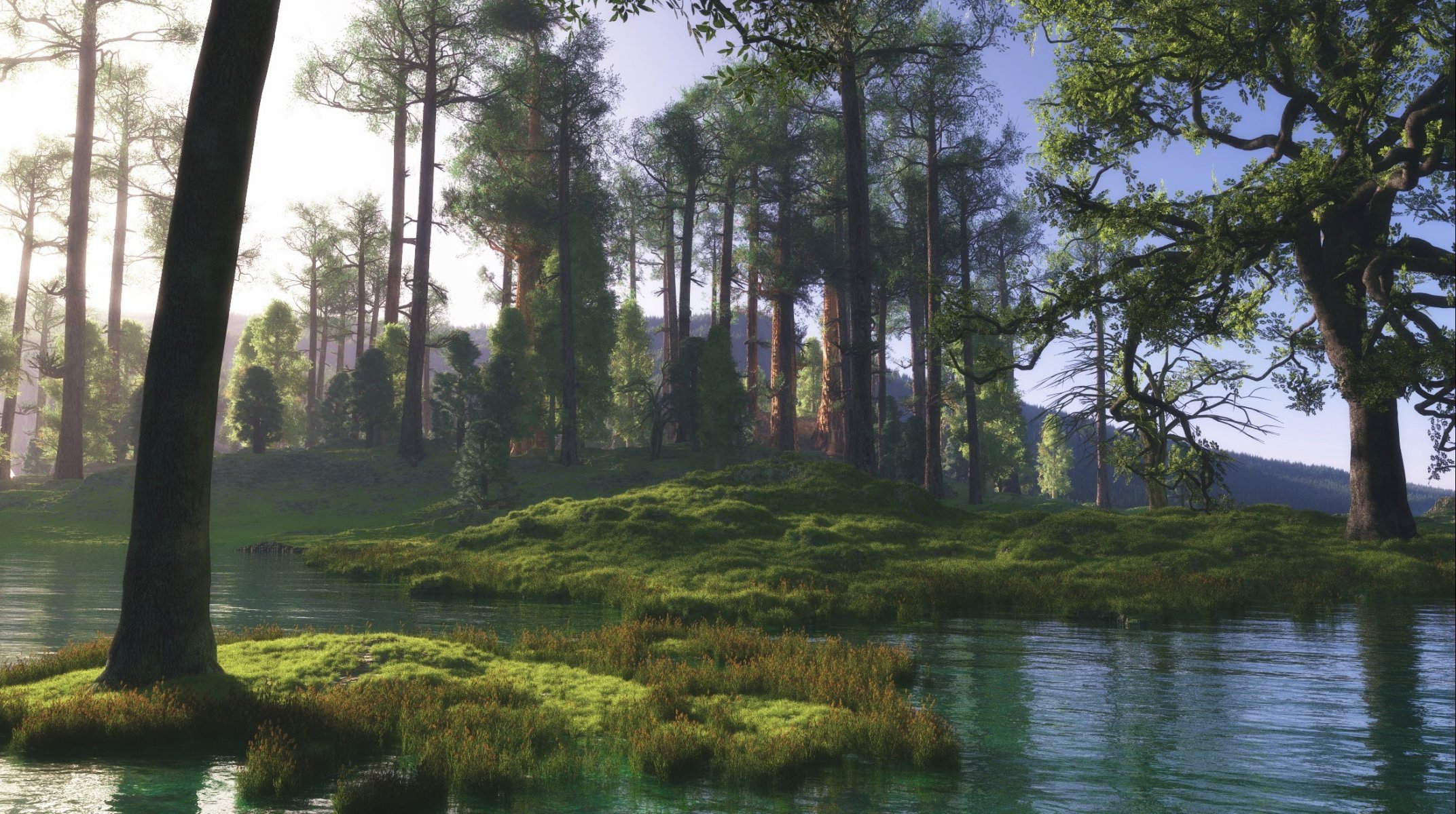 l art les collines la forêt les arbres l eau un étang un marais le soleil