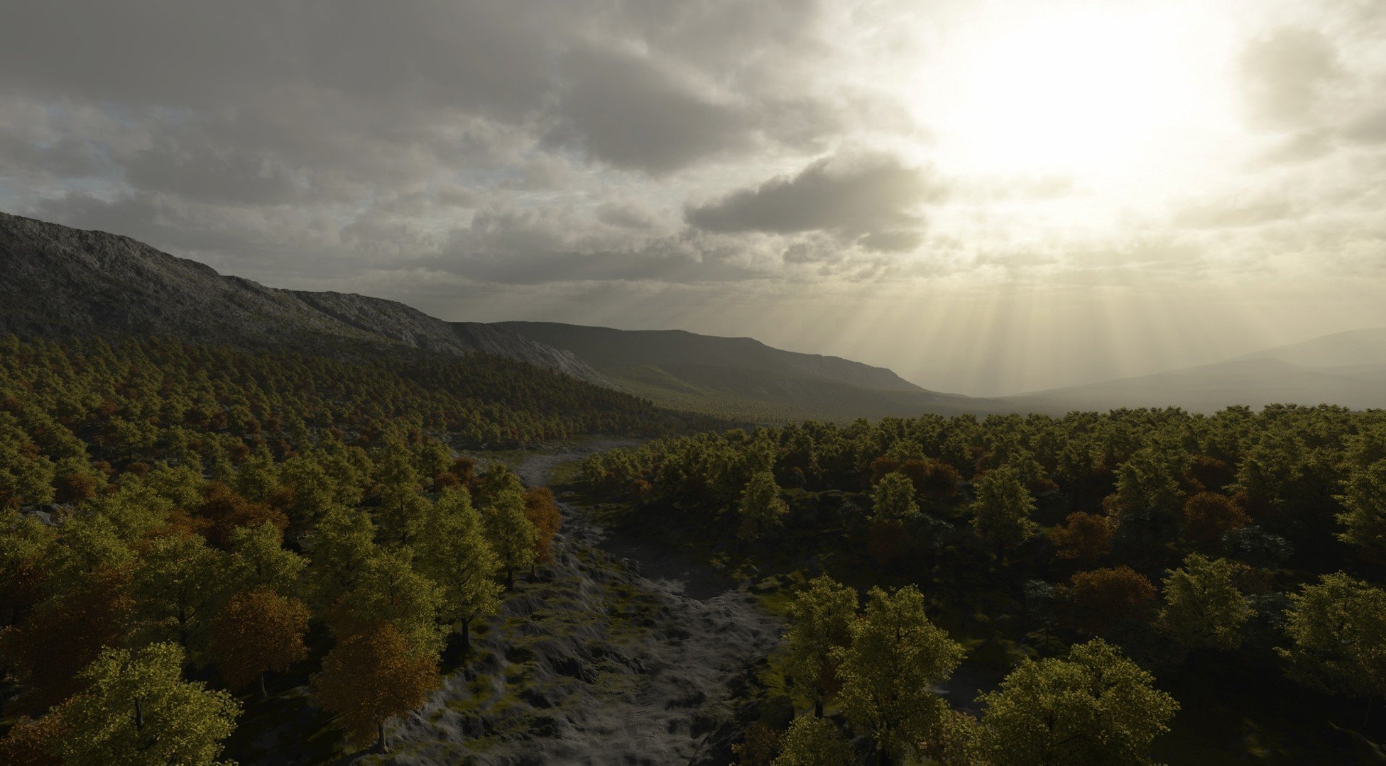 art forêt arbres rivière collines le soleil