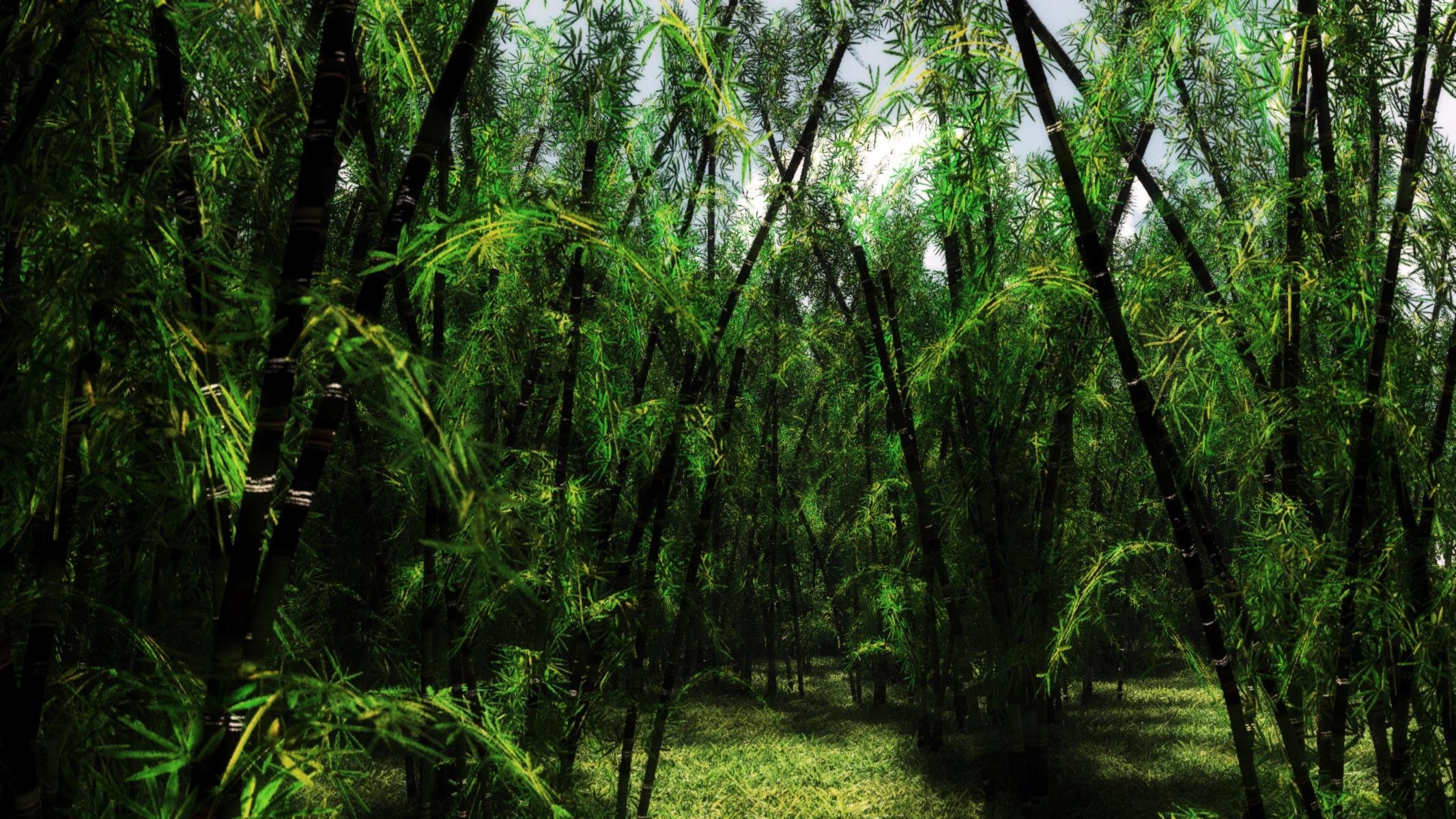 la nature le rendu le 3d-art