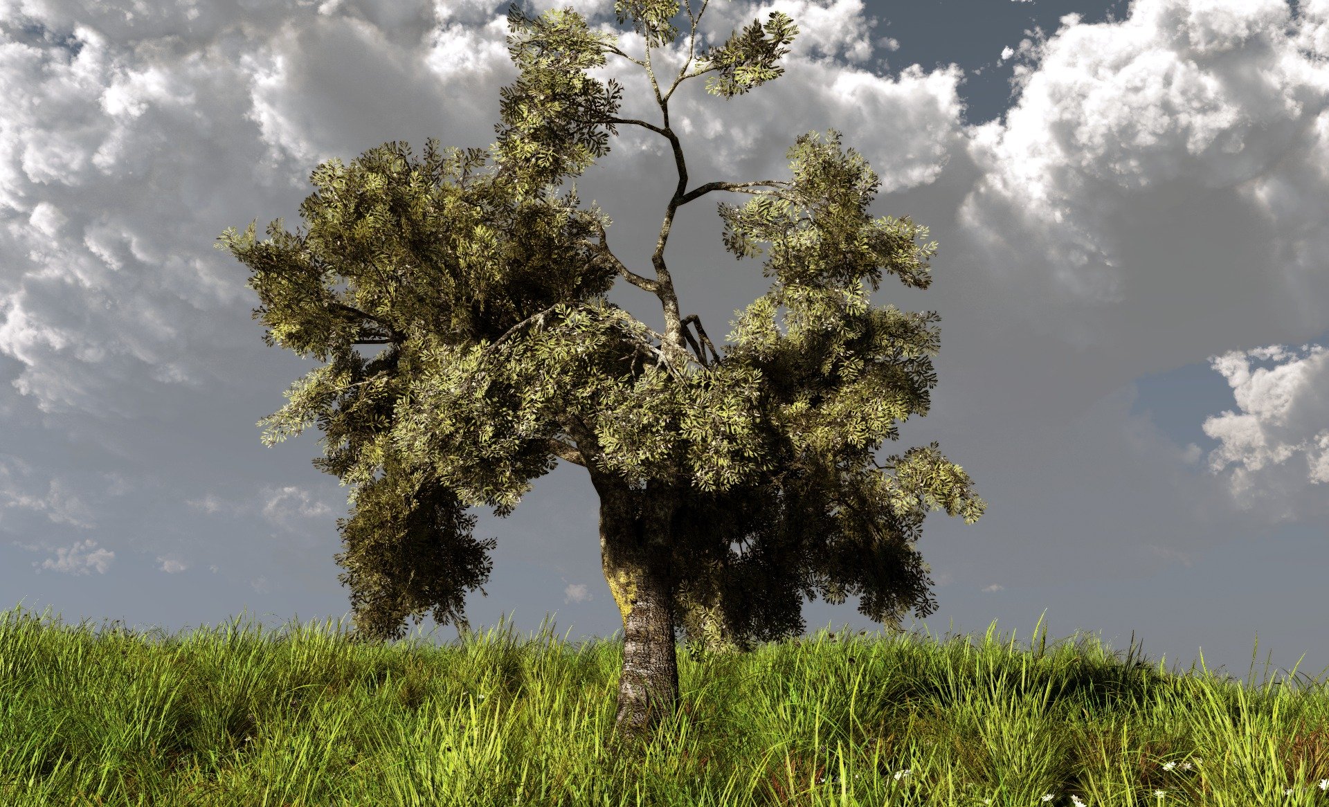 arte klontak naturaleza árbol hierba colina nubes