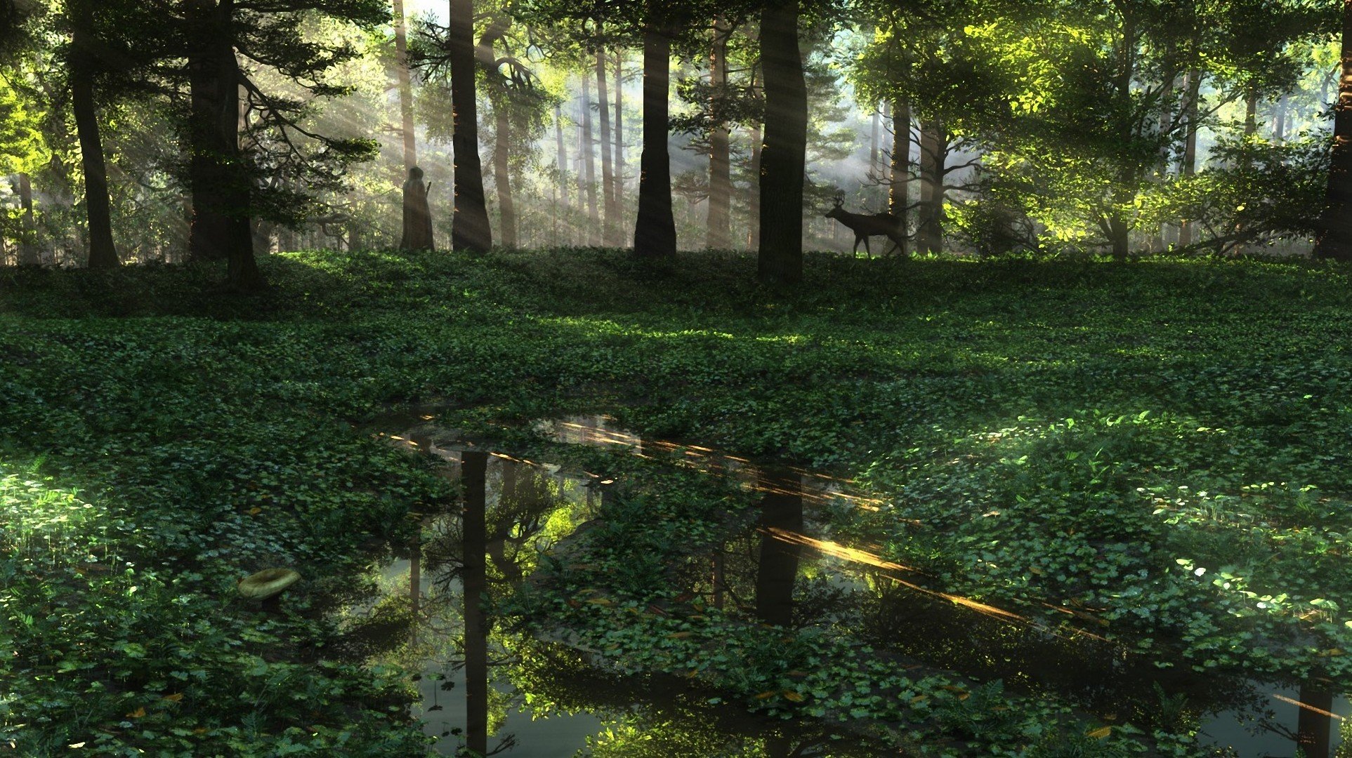 sztuka natura człowiek sarna promienie słoneczne las kałuże woda rośliny