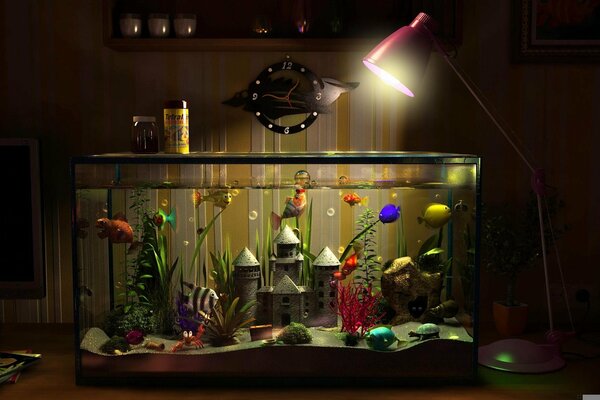 Aquarium mit Fischen auf einem Tisch auf einem Lampenhintergrund