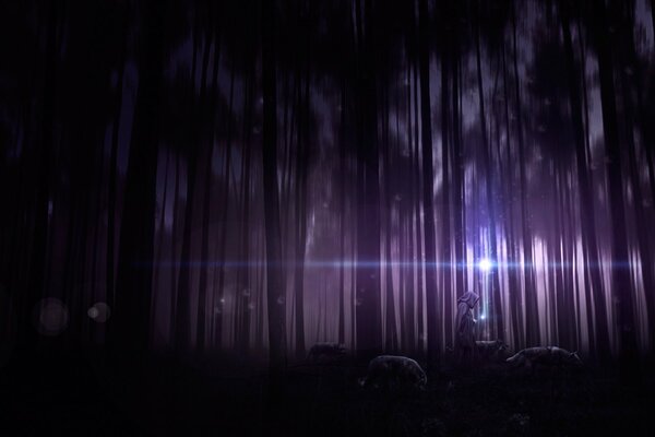 Amapola en medio de un bosque oscuro con una bola de luz