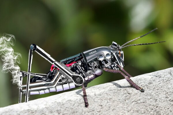 An unusual metal grasshopper robot