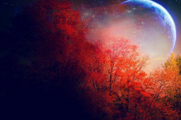 In autumn, red trees on the background of the moon