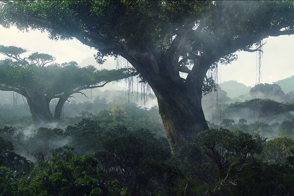 Vieux arbres de la jungle abandonnée