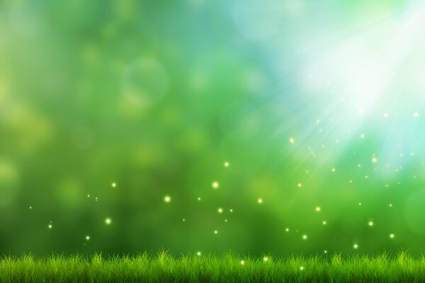 Zielona trawa pod światłem z iskrami