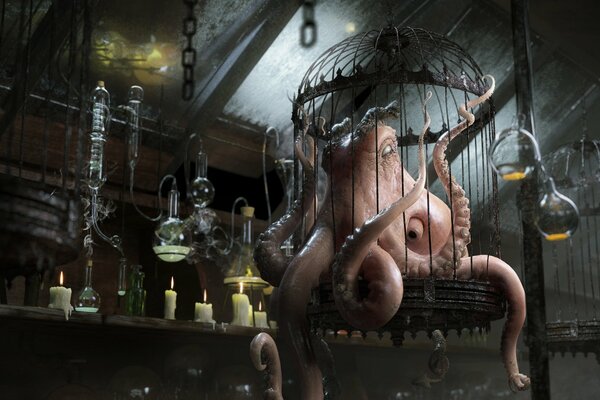 A caged octopus by candlelight