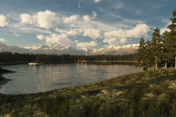 Coniferous forest with a small lake