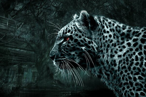 Schwarz-Weiß-Bild eines Leoparden