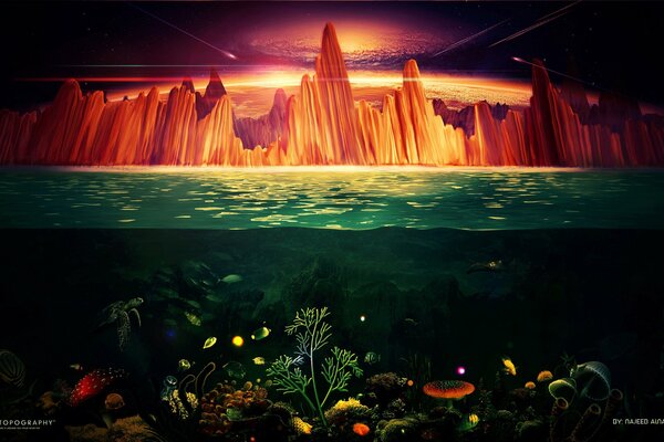 Le monde sous-marin et lumineux de la falaise
