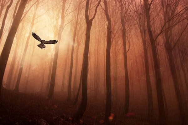 An owl flying through a rainy forest