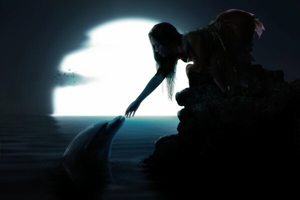 A girl and a dolphin in the moonlight