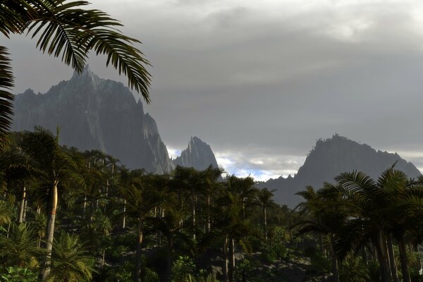 Palmiers sur fond de montagnes et de nuages