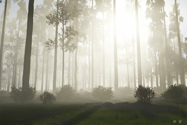 El sol se abre paso a través de la niebla nocturna