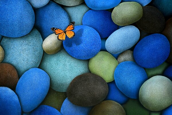 Blue stones and butterfly wallpaper