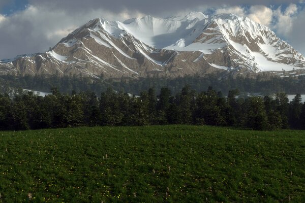 A clearing with flowers on the background of mountains