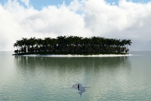 An uninhabited island with palm trees and the ocean around